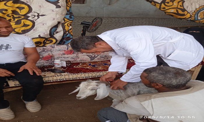 مستقبل وطن ينظم قافلة بيطرية بمركز الوقف لخدمة المزارعين والمربين