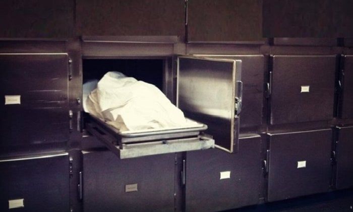 مصرع ربة منزل سقطت عليها نخلة بقرية كفر شبين بالقليوبية