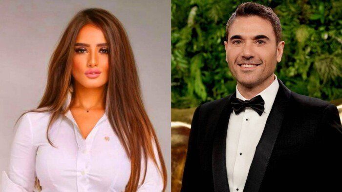 موعد أولى جلسات استئناف زينة على حكم إلزام أحمد عز بدفع 80 ألف جنيه شهريا