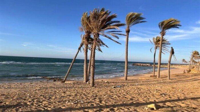 برلماني: سيناء قاطرة التنمية وحجم الاستثمارات غير مسبوق