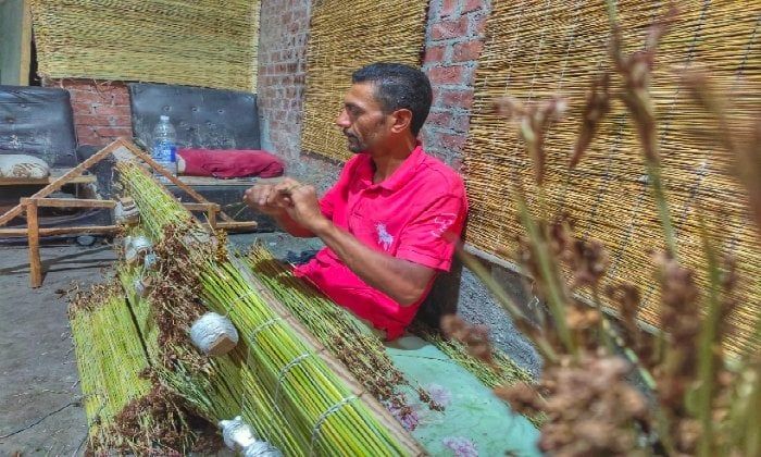 تواجه شبح الاندثار.. «الأسبوع» داخل أقدم ورشة لصناعة الحُصر في الإسكندرية