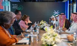مجالس البحوث الإقليمية