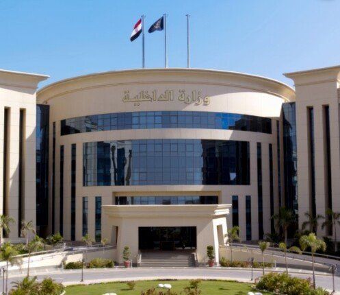الداخلية تكشف تفاصيل ادعاء شخص بمقتل نجل عمه على يد تجار مخدرات بالدقهلية