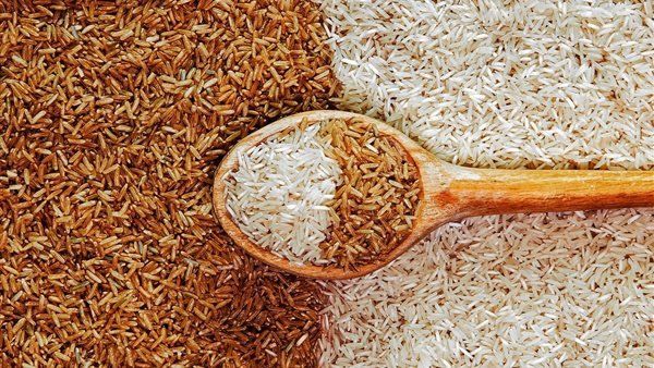 سعر الأرز الشعير
