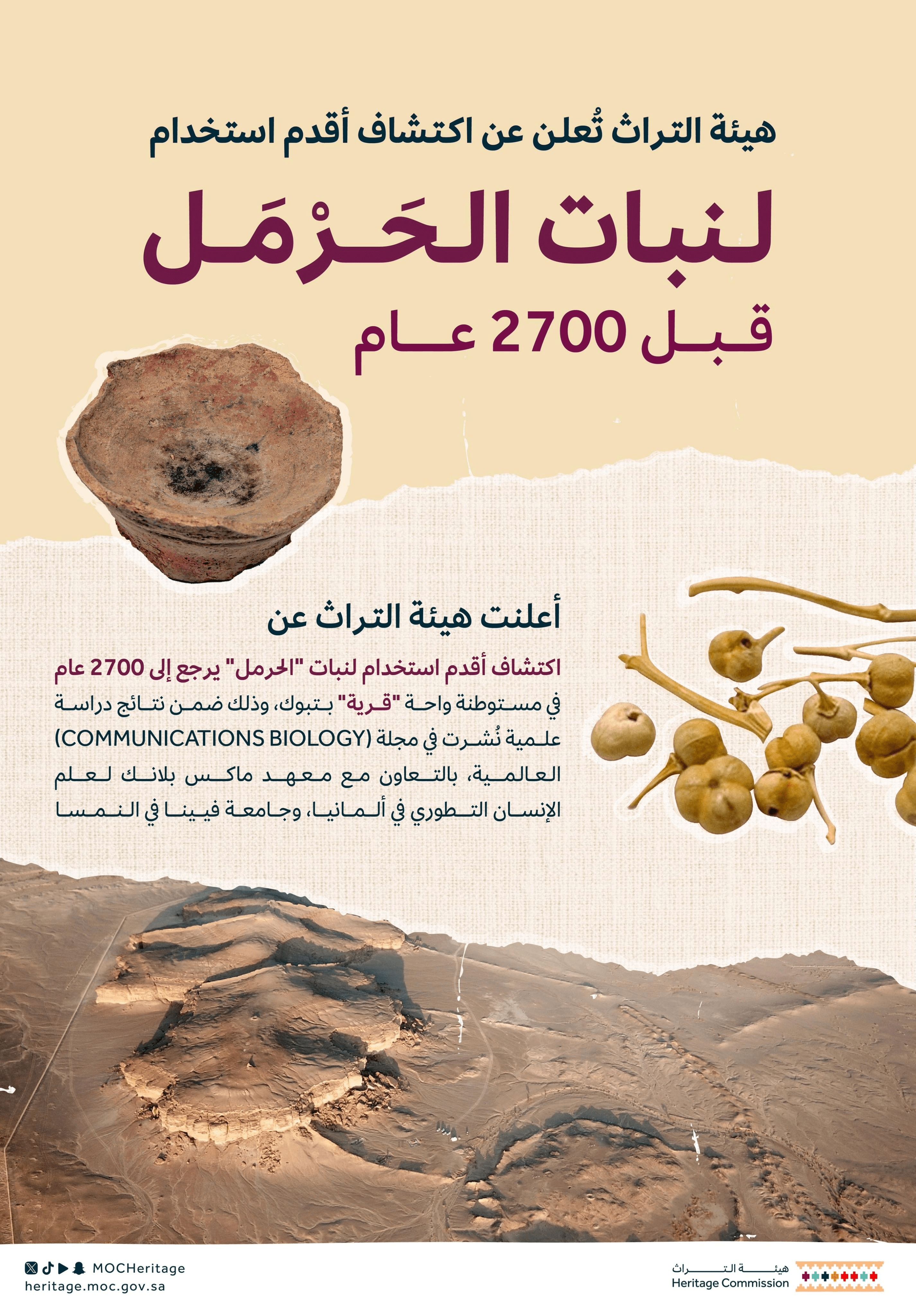 أقدم استخدام لنبات الحرمل منذ العصر الحديدي قبل 2700 عام
