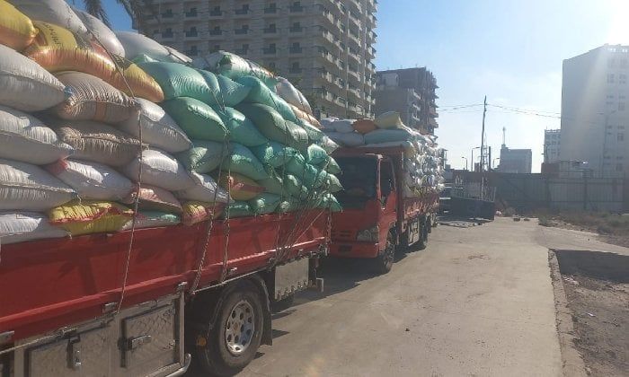 حصاد الخير.. شون وصوامع البحيرة تستقبل 267 ألف طن من المزارعين