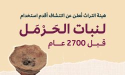 أقدم استخدام لنبات الحرمل منذ العصر الحديدي قبل 2700 عام