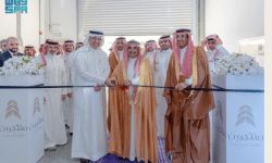 نائب وزير الصناعة والثروة المعدنية