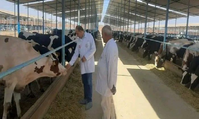 لتدشين المرحلة الثانية من المبادرة الرئاسية