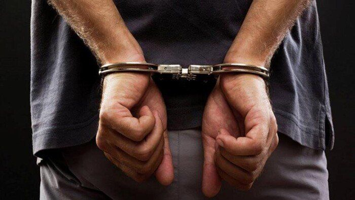 ضبط صاحب مقهى لإتجاره في النعام والكلاب والنسانيس المحلة