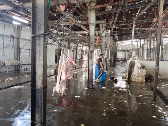السكرتير العام المساعد لمحافظة الإسماعيلية يتفقد المجزر الآلي بأبو خليفة وأبو صوير