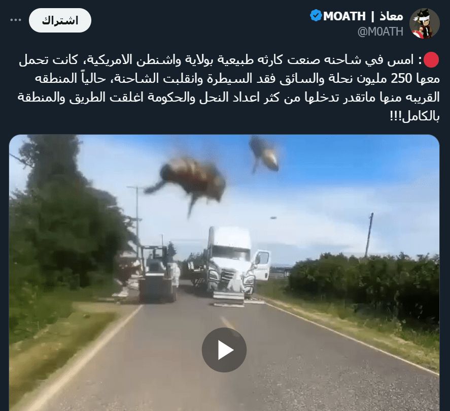 250 مليون نحلة طليقه في ولاية واشنطن