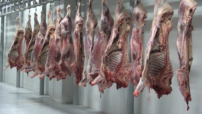 محافظ البحر الأحمر يشدد على ذبح الأضاحي بالمجازر: بيئة نظيفة وصحة عامة في العيد