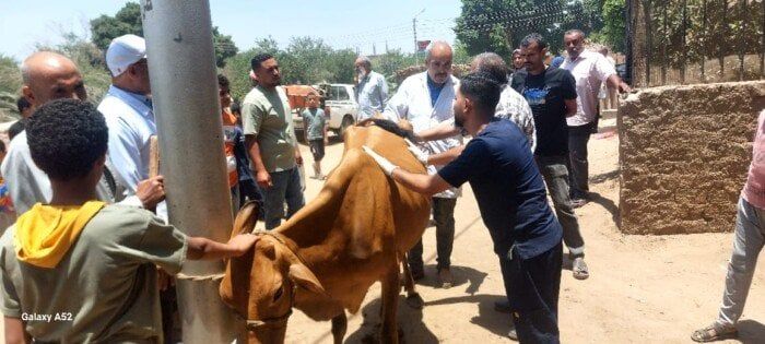 جامعة المنيا تطلق قافلة بيطرية شاملة لحماية وتنمية الثروة الحيوانية بقرية الرحمانية