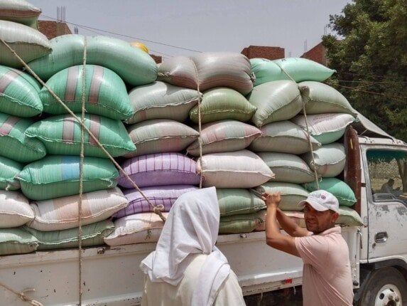 المنيا تتخطى النصف مليون طن.. والمحافظ يعلن استمرار توريد القمح لتعزيز الأمن الغذائي