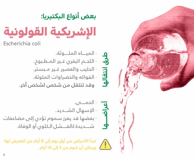 البكتيريا الإشريكية القولونية