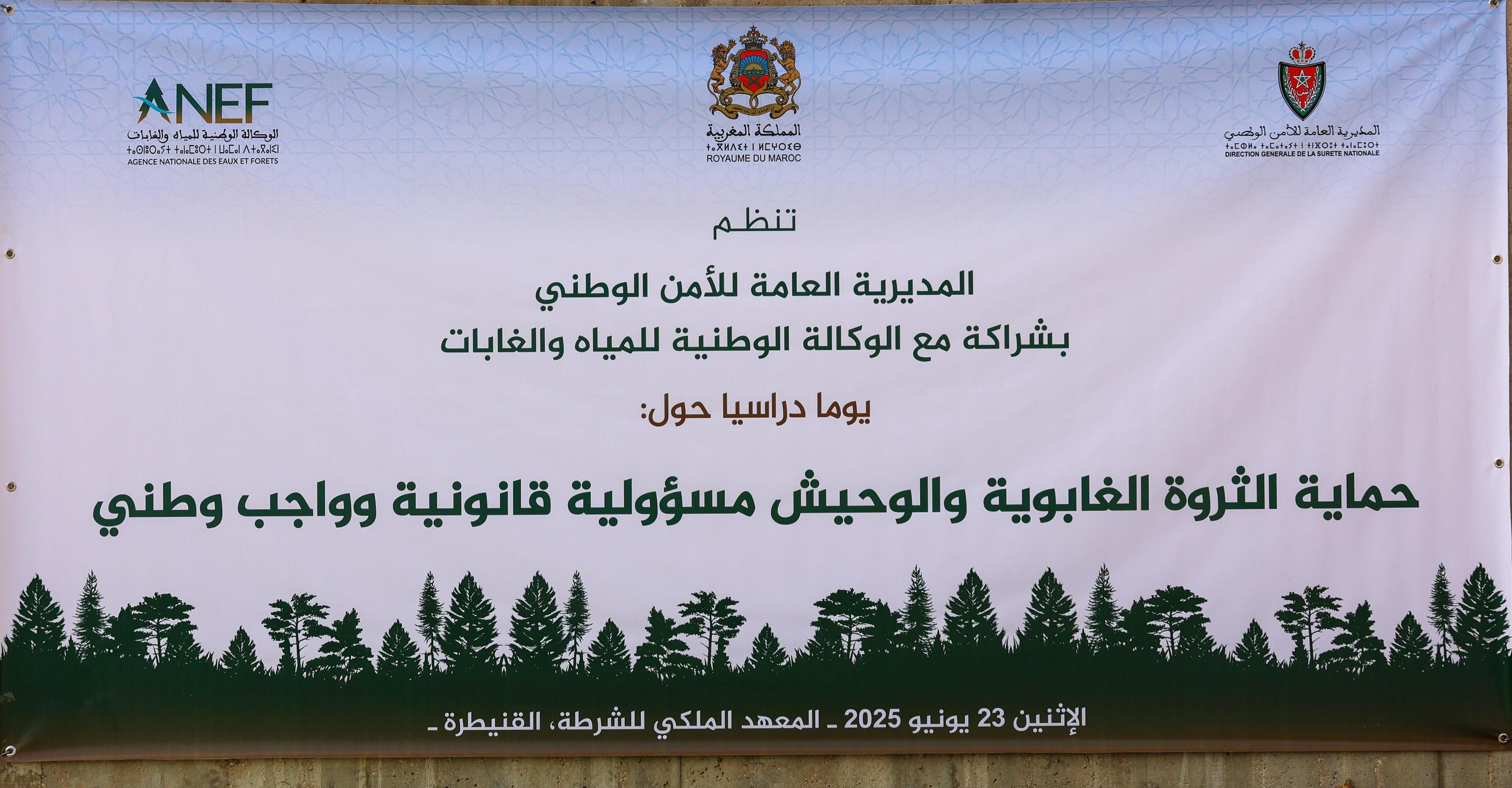 263800cf58.jpg