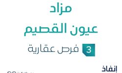 مزاد عيون القصيم