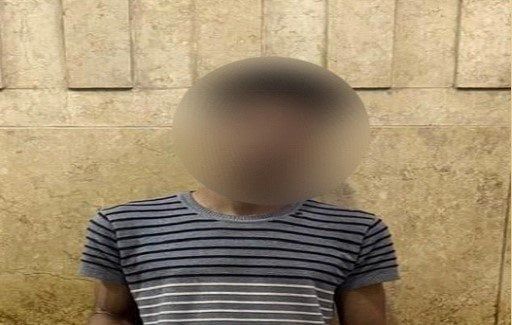 كشف ملابسات الاعتداء على «كلب ضال» في المنيا