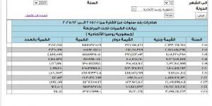 بالأرقام.. قيمة صادرات مصر إلى روسيا خلال 10 سنوات
