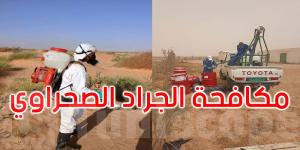 أين وصلت حملة مكافحة الجراد الصحراوي؟