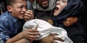 إقليم إيطالى يقطع علاقاته مع إسرائيل بسبب مجازر غزة