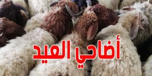 عاجل: الأمن المغربي يداهم المنازل ويصادر أضاحي العيد