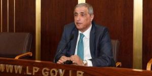 النائب قاسم هاشم يدعو الحكومة لإطلاق خطة عاجلة لإعمار الجنوب ومواجهة العدوان الإسرائيلي
