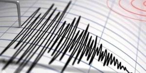 زلزال بقوة 4.9 درجات يضرب بابوا غينيا الجديدة