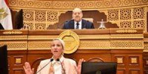 نائب بالشيوخ لوزيرة البيئة:« أنا من الإسكندرية واللى شوفناه في العاصمة ميتحكيش..الحمد لله على كل حال»
