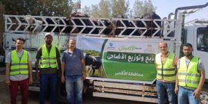 توزيع لحوم على 39 قرية بالأقصر خلال عيد الأضحى