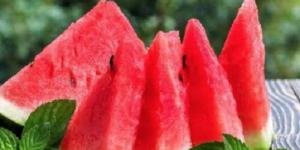 علامات تدل على فساد البطيخ