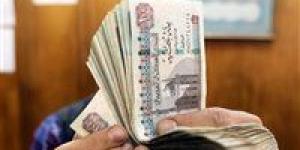 بعد تصديق الرئيس.. تعرف علي موعد تطبيق العلاوة والحافز الإضافي للموظفين