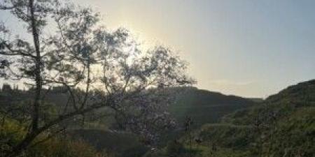 لبنان الذي لا يُدنى منه