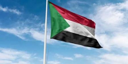 قطع العلاقات السودانية الإماراتية.. تعرف على الحقيقة الكاملة