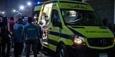 مصرع شابين دهساً اسفل سيارة نقل بالدقهلية 
