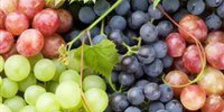 بعد وصوله لـ 150 جنيه.. موعد انخفاض سعر العنب