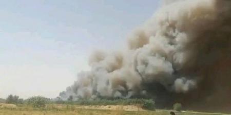 جهود مكثفة للسيطرة على حريق نشب في الغابات الشجرية بالجبلاو بقنا