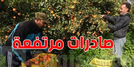37.7 مليار صادرات القوارص حتى ماي 2025