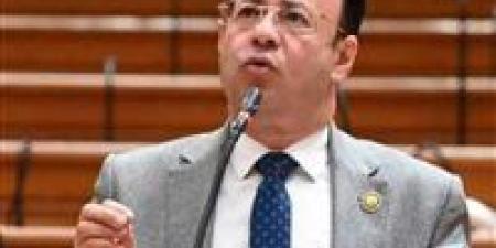 نائب بمناقشات مزاولة مهنة الصيدلة: يجب مواجهة سلاسل الصيدليات ووضع حد للأزمة