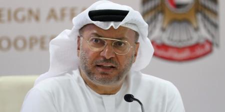 قرقاش : بعض الانتقادات للإمارات تحركها الغيرة والعمى الأيديولوجي
