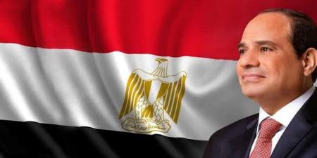 الرئيس السيسي يبحث سبل تعزيز التعاون مع البنك الإفريقي للتنمية