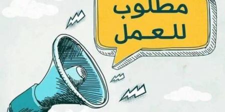 وظائف صندوق مكافحة وعلاج الإدمان.. لينك وخطوات التقديم