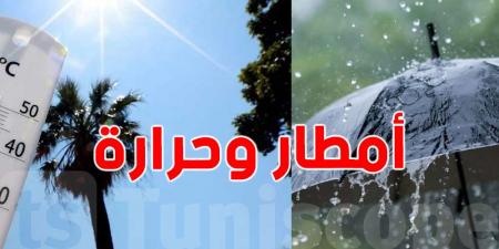 أفريل 2025: أمطار قياسية في الشمال والوسط وحرارة أعلى من المعدلات