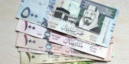 مع اقتراب موسم الحج.. تعرف على سعر الريال السعودي اليوم الثلاثاء 13 مايو 2025 مقابل الجنيه المصري