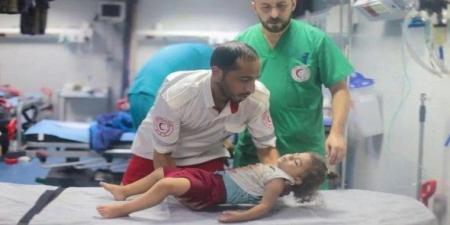 منظمة أطباء بلا حدود تؤكد أن الوضع في غزة كارثي مع انعدام الدواء والغذاء وانتشار المعاناة