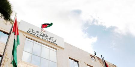 “العمل”: سنعلن فرص العمل المتحققة باليوم الوطني للتشغيل بالتنسيق مع الضمان