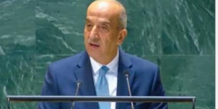 مندوب مصر لدى الأمم المتحدة: قدمنا خطة للتعافى المبكر وإعادة إعمار غزة
