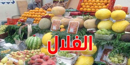 الفلاح يبيع ب2500 والمواطن يشتري ب8000: من يربح في سوق الغلال؟