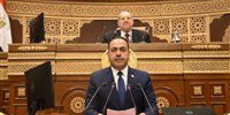 رئيس شباب النواب : مصر ظلت صوتا قويا ومعبرا عن طموحات شعوب الجنوب أمام الأمم المتحدة